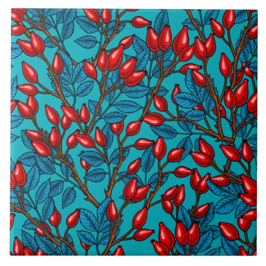 Rose Hüften, rot und blau Fliese (Vorderseite)