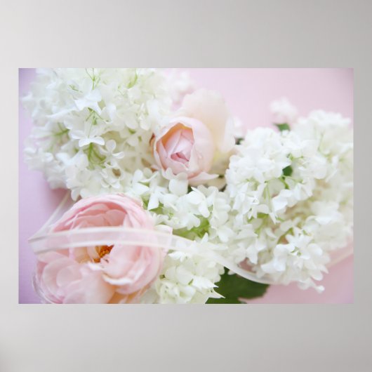 Rose-Hydrangea-Band Poster (Vorne)