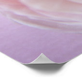 Rose-Hydrangea-Band Poster (Ecke)