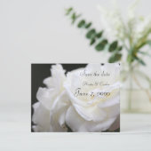 Rose Iceberg Save The Date (Stehend Vorderseite)