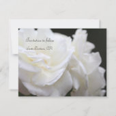 Rose Iceberg Save The Date (Rückseite)