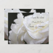 Rose Iceberg Save The Date (Vorne/Hinten)