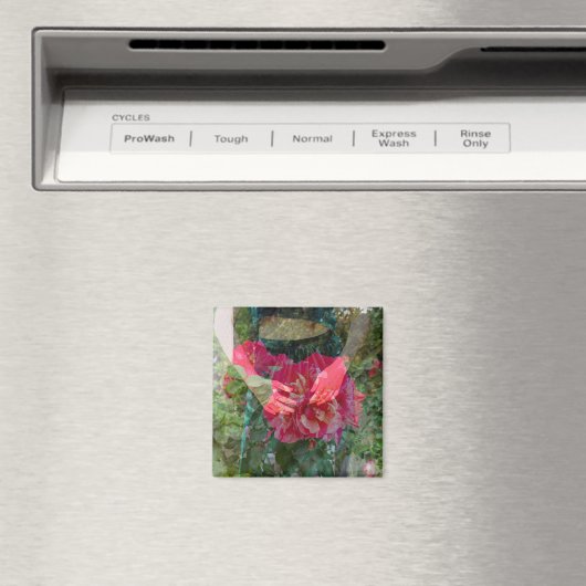 Rose im Bloom Magnet (In Situ (Geschirrspüler))