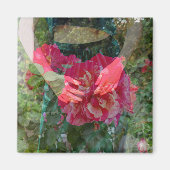Rose im Bloom Magnet (Vorne)