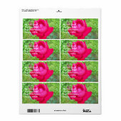 Rose im Blut (Vorne)