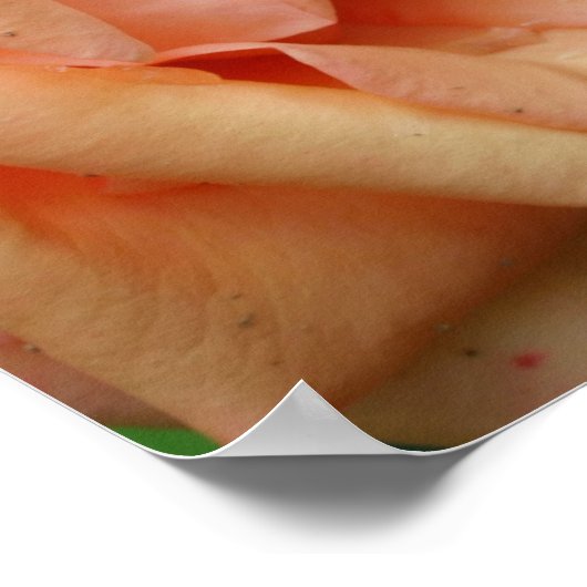 Rose im Blut abdrücken Poster (Ecke)