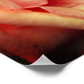 Rose im Blut abdrücken Poster (Ecke)