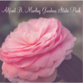 Rose im Blut Aufkleber (Vorderseite)