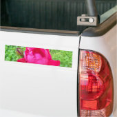 Rose im Blut Autoaufkleber (Auf Lkw)