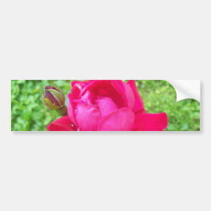 Rose im Blut Autoaufkleber