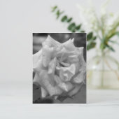 Rose im Blut in Schwarz-weißer Blume Postkarte (Stehend Vorderseite)