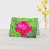 Rose im Blut Karte (Gelbe Blume)
