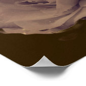 Rose im Blut mit Vintagen Regentropfen Poster