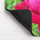 Rose im Blut Mousepad (Ecke)
