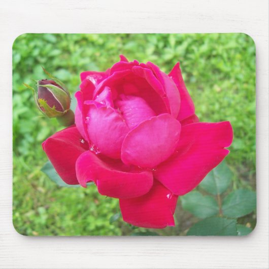 Rose im Blut Mousepad (Vorne)