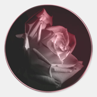 Rose im blutverheirateten Umschlag Aufkleber