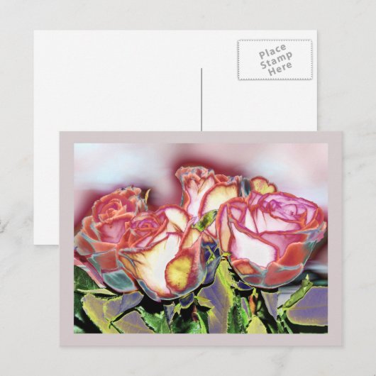 Rose im Dezember, Postkarte (Vorne/Hinten)