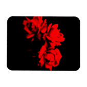 Rose im Dunkeln Magnet (Horizontal)