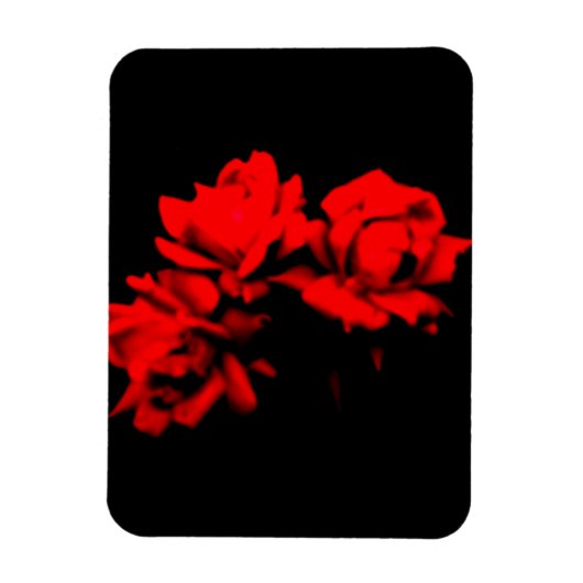 Rose im Dunkeln Magnet (Vertikal)