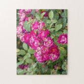 Rose im Garten Puzzle (Vertikal)