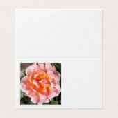 Rose im Herbst (Außenseite Aufgefaltet)