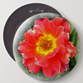Rose im Herbst Button (Vorne & Hinten)