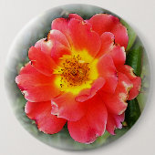Rose im Herbst Button (Vorderseite)