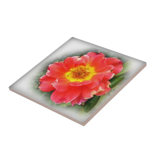 Rose im Herbst Fliese (Seite)