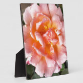 Rose im Herbst Fotoplatte (Seite)