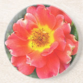 Rose im Herbst Getränkeuntersetzer (Vorne)