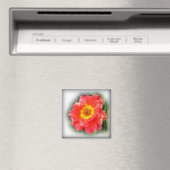 Rose im Herbst Magnet (In Situ (Geschirrspüler))