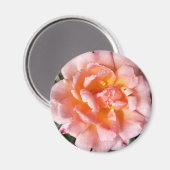 Rose im Herbst Magnet (Vorderseite/Rückseite)