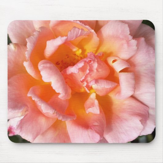 Rose im Herbst Mousepad (Vorne)