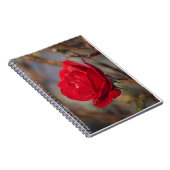 Rose im Herbst Notizblock (Rechte Seite)