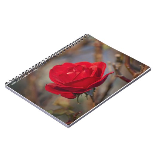 Rose im Herbst Notizblock (Linke Seite)