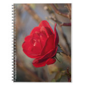 Rose im Herbst Notizblock (Vorderseite)