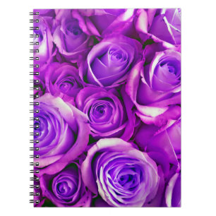 Rose im Hintergrund Valentinstag Symbol für l Notizblock
