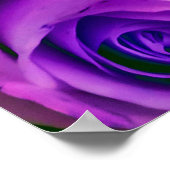 Rose im Hintergrund Valentinstag Symbol für l Poster (Ecke)