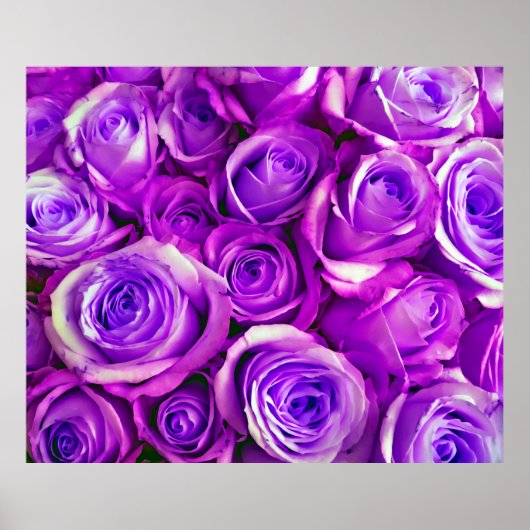 Rose im Hintergrund Valentinstag Symbol für l Poster (Vorne)