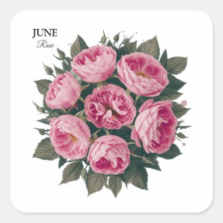Rose im Juni: Personalisierter Geburtstag Quadratischer Aufkleber