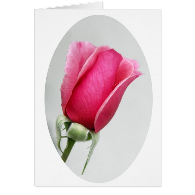 Rose im Oval (Vorne)