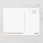 Rose im Regen Postkarte (Rückseite)