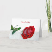 Rose im Schnee Geburtstag Karte (Vorderseite)