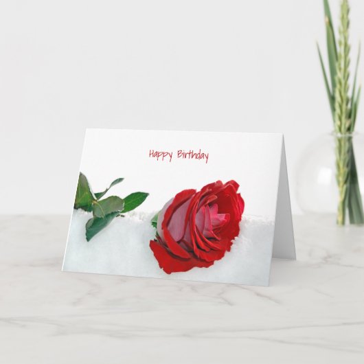 Rose im Schnee Geburtstag Karte (Vorderseite)