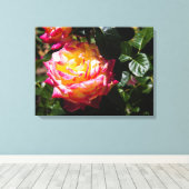 Rose im Sonnenlicht Leinwanddruck (Insitu (Holzboden))