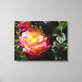 Rose im Sonnenlicht Leinwanddruck (Vorderseite)