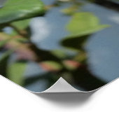 Rose in Baumnähe Poster (Ecke)