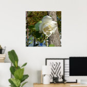 Rose in Baumnähe Poster (Heimbüro)
