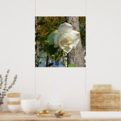 Rose in Baumnähe Poster (Küche)