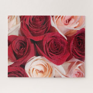 Rose in blass, pink und rot 16x20 520 Stück Puzzle